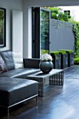 TANIA LAURIE  LONDON. CONTEMPORARY LIVING AREA WITH GREY LEATHER SOFA  VASE AND COFFEE TABLE  LEADING OUT TO PATIO AND GARDEN DESIGNED BY CHARLOTTE ROWE