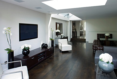 TANIA_LAURIE__LONDON_INTERIOR_OF_LIVING__DINING_AREA_WITH_WALLMOUNTED_TV__WOODEN_FLOOR_AND_CONTEMPOR