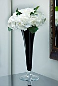 TANIA LAURIE  LONDON. DETAIL OF BLACK STEMMED GLASS VASE WITH SINGLE WHITE HYDRANGEA BLOOM