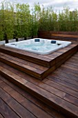 CONTEMPORARY FORMAL ROOF TERRACE/ GARDEN DESIGNED BY DATA NATURE ASSOCIATES: DECK AREA WITH JACUZZI AND BAMBOOS