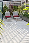 CONTEMPORARY FORMAL ROOF TERRACE/ GARDEN DESIGNED BY DATA NATURE ASSOCIATES: SEATING AREA WITH SUN LOUNGERS  CUSHIONS  TRELLIS AND CORDYLINE