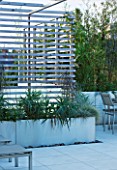 CONTEMPORARY FORMAL ROOF TERRACE/ GARDEN DESIGNED BY DATA NATURE ASSOCIATES: VIEW OUT OF APARTMENT TO TRELLIS AND RAISED BED