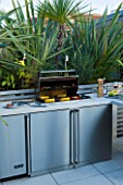 CONTEMPORARY FORMAL ROOF TERRACE/ GARDEN DESIGNED BY DATA NATURE ASSOCIATES: BARBEQUE