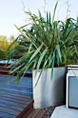 CONTEMPORARY FORMAL ROOF TERRACE/ GARDEN DESIGNED BY DATA NATURE ASSOCIATES: DECKING WITH RAISED METAL BED PLANTED WITH PHORMIUM