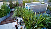 CONTEMPORARY FORMAL ROOF TERRACE/ GARDEN DESIGNED BY DATA NATURE ASSOCIATES: VIEW OVER GARDEN WITH DECKING  PHORMIUMS  PERGOLA AND JACUZZI