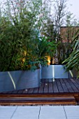 CONTEMPORARY FORMAL ROOF TERRACE/ GARDEN DESIGNED BY DATA NATURE ASSOCIATES: DECKED TERRACE AND RAISED METAL BEDS PLANTED WITH BAMBOOS AND MELIANTHUS MAJOR