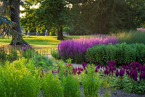 TRENTHAM_GARDENS__STAFFORDSHIRE_WOODLAND_PLANTING_IN_EVENING_LIGHT_BY_PIET_OUDOLF_ASTILBES_AND_LYTHR