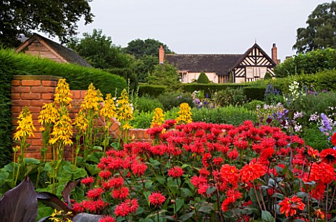 WOLLERTON_OLD_HALL__SHROPSHIRE_VIEW_UPTO_THE_HOUSE_WITH_MONARDA_GARDENVIEW_SCARLET_AND_LIGULARIA_GRE