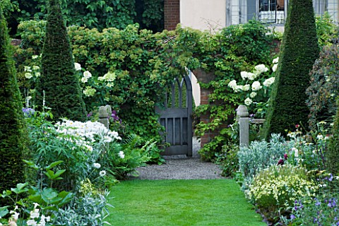 WOLLERTON_OLD_HALL_SHROPSHIREVIEW_FROM_THE_YEW_WALK_TOWARD_GATE_WITH_HYDRANGEA_PANICULATA_UNIQUE_IN_