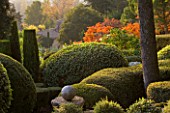 PROVENCE  FRANCE: GARDEN OF NICOLE DE VESIAN  LA LOUVE: CLIPPED TOPIARY SHAPES AT DAWN WITH STAGS HORN SUMACH (RHUS TYPHINA) IN BACKGROUND