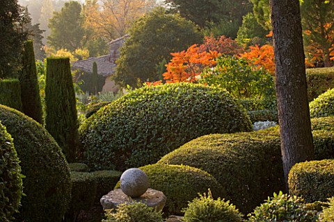 PROVENCE__FRANCE_GARDEN_OF_NICOLE_DE_VESIAN__LA_LOUVE_CLIPPED_TOPIARY_SHAPES_AT_DAWN_WITH_STAGS_HORN