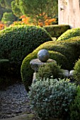 PROVENCE  FRANCE: GARDEN OF NICOLE DE VESIAN  LA LOUVE: GRAVEL TERRACE AND CLIPPED TOPIARY SHAPES AT DAWN WITH STAGS HORN SUMACH (RHUS TYPHINA) IN BACKGROUND