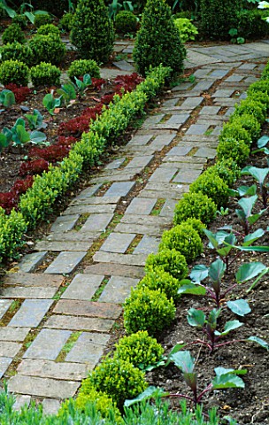 BRICK_PATH_IN_THE_POTAGER_AT_BARNSLEY_HOUSE_GARDEN__GLOUCESTERSHIRE