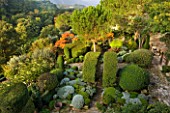 PROVENCE  FRANCE: GARDEN OF NICOLE DE VESIAN  LA LOUVE: VIEW FROM HOUSE TO TERRACE WITH CLIPPED TOPIARY  SANTOLINA AND STAGS HORN SUMACH (RHUS TYPHINA) WITH COUNTRYSIDE BEYOND