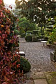PROVENCE  FRANCE: GARDEN OF NICOLE DE VESIAN  LA LOUVE: VIEW FROM HOUSE DOOR TO GRAVEL TERRACE WITH METAL TABLE AND CHAIRS  BOSTON IVY AND CLIPPED TOPIARY SHAPES