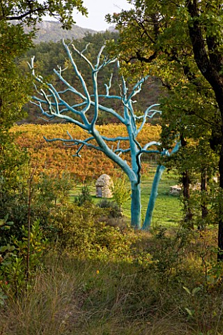 PROVENCE__FRANCE_DOMAINE_DE_LA_VERRIERE_VIEW_THROUGH_THE_WOODLAND_TO_VINES_AND_A_STONE_WELL_IN_FRONT