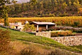PROVENCE  FRANCE: DOMAINE DE LA VERRIERE: VINEYARDS AND THE WALLED VEGETABLE GARDEN PLANTED WITH DAHLIAS