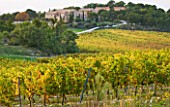PROVENCE  FRANCE: DOMAINE DE LA VERRIERE: THE PROPERTY VIEWED FROM THE VINEYARDS