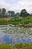GARDEN OF ERIK BORJA  FRANCE: THE WATER GARDEN WITH LARGE POND/ POOL AND CLIPPED JUNIPER - LANDSCAPE BYOND