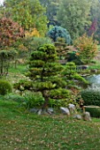 GARDEN OF ERIK BORJA  FRANCE: THE WATER GARDEN WITH LARGE POND/ POOL AND CLIPPED PINUS SYLVESTRIS - LANDSCAPE BYOND. TOPIARY