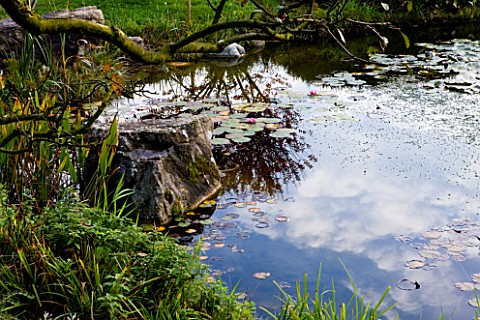 GARDEN_OF_ERIK_BORJA__FRANCE_THE_WATER_GARDEN_WITH_LARGE_POND_POOL__ROCK_AND_WATERLILIES