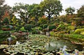GARDEN OF ERIK BORJA  FRANCE: THE WATER GARDEN WITH LARGE POND/ POOL  ROCKS  WATERLILIES AND CLIPPED TOPIARY SHAPES
