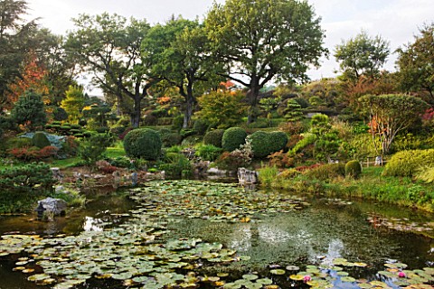 GARDEN_OF_ERIK_BORJA__FRANCE_THE_WATER_GARDEN_WITH_LARGE_POND_POOL__ROCKS__WATERLILIES_AND_CLIPPED_T