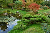 GARDEN OF ERIK BORJA  FRANCE: THE WATER GARDEN WITH LARGE POND/ POOL  WOODEN BENCH/ SEAT  ROCKS  WATERLILIES AND CLIPPED TOPIARY JUNIPER