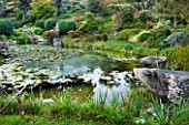 GARDEN OF ERIK BORJA  FRANCE: THE WATER GARDEN WITH LARGE POND/ POOL  WOODEN BENCH/ SEAT  ROCKS  WATERLILIES AND CLIPPED TOPIARY SHAPES