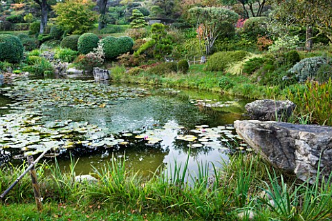 GARDEN_OF_ERIK_BORJA__FRANCE_THE_WATER_GARDEN_WITH_LARGE_POND_POOL__WOODEN_BENCH_SEAT__ROCKS__WATERL
