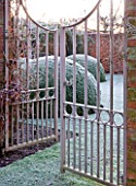WOLLERTON OLD HALL  SHROPSHIRE: WINTER GARDEN IN FROST -  VIEW THROUGH METAL GATES TO LARGE CLIPPED BOX BALLS IN LAWN. DAWN LIGHT