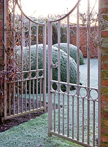 WOLLERTON_OLD_HALL__SHROPSHIRE_WINTER_GARDEN_IN_FROST___VIEW_THROUGH_METAL_GATES_TO_LARGE_CLIPPED_BO