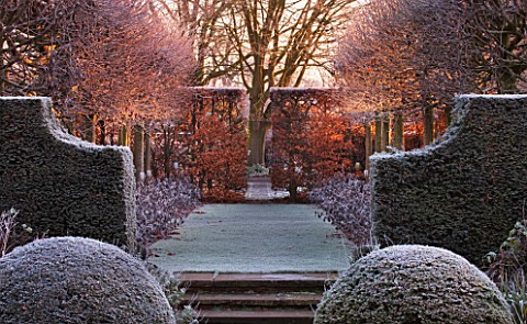 WOLLERTON_OLD_HALL__SHROPSHIRE_WINTER_GARDEN_IN_FROST___VIEW_ALONG_THE_LIME_ALLEE_AT_DAWN_TO_A_CLIPP