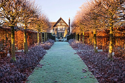 WOLLERTON_OLD_HALL__SHROPSHIRE_WINTER_GARDEN_IN_FROST___VIEW_ALONG_THE_LIME_ALLEE_TO_THE_HOUSE_AT_DA