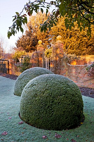 WOLLERTON_OLD_HALL__SHROPSHIRE_WINTER_GARDEN_IN_FROST___THE_FONT_GARDEN_WITH_CLIPPED_BOX_BALLS_AND_B