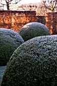 WOLLERTON OLD HALL  SHROPSHIRE: WINTER GARDEN IN FROST -  THE FONT GARDEN WITH MASSIVE CLIPPED BOX BALLS AND BEECH HEDGING. DAWN LIGHT