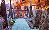 WOLLERTON OLD HALL  SHROPSHIRE: WINTER GARDEN IN FROST -  GRASS PATH ALONG THE YEW WALK WITH CLIPPED YEW TOPIARY PYRAMIDS AND THE HOUSE BEHIND. DAWN LIGHT