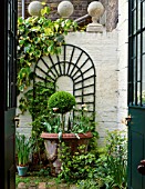 VIEW THROUGH BACK DOOR INTO COURTYARD OF SMALL TOWN GARDEN. ARCHED TRELLIS ON WALL AND TERRACOTTA CONTAINER WITH STANDARD BOX AND TULIP CARNIVAL DE NICE. DESIGNER: ANTHONY NOEL