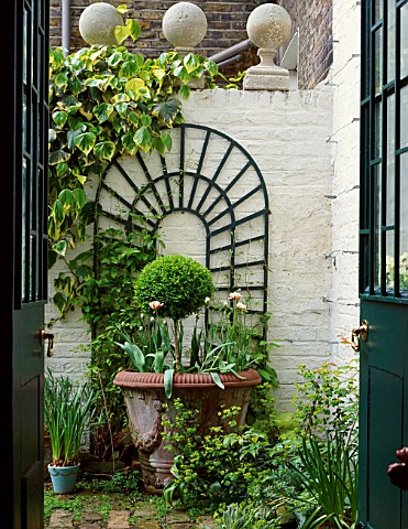 VIEW_THROUGH_BACK_DOOR_INTO_COURTYARD_OF_SMALL_TOWN_GARDEN_ARCHED_TRELLIS_ON_WALL_AND_TERRACOTTA_CON