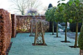 WOLLERTON OLD HALL  SHROPSHIRE: WINTER GARDEN IN FROST -  BEAUTIFUL OAK TRIPOD FOR CLIMBING PLANTS AND STANDARD PORTUGUESE LAURELS IN THE OLD GARDEN. DAWN LIGHT