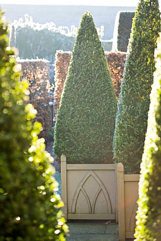 WOLLERTON_OLD_HALL__SHROPSHIRE_WINTER_GARDEN_IN_FROST___VERSAILLES_CONTAINERS_PLANTED_WITH_CLIPPED_T