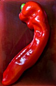 ORGANIC RED BELL PEPPER ON RED BACKGROUND. VEGETABLE  HEALTHY EATING  HEALTHY LIVING