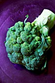 ORGANIC BROCCOLI ON PURPLE BACKGROUND. VEGETABLE  HEALTHY EATING  HEALTHY LIVING  GREEN