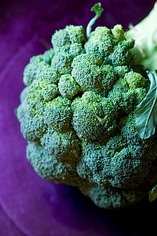 ORGANIC_BROCCOLI_ON_PURPLE_BACKGROUND_VEGETABLE__HEALTHY_EATING__HEALTHY_LIVING__GREEN