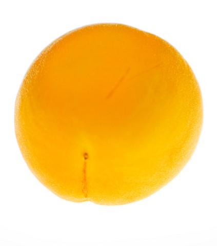 APRICOT___CULINARY__WHITE_BACKGROUND__CUT_OUT__CLOSE_UP__ORGANIC