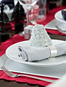 CHRISTMAS TABLE SETTING - NAPKIN AND SILVER DECORATION ON A WHITE PLATE. SARAH EASTEL LOCATIONS/ DI ABLEWHITE