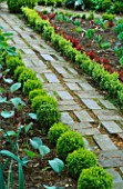 BRICK PATH EDGED WITH CLIPPED BOX IN THE POTAGER AT BARNSLEY HOUSE GARDEN  GLOUCESTERSHIRE