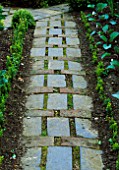 BRICK PATH IN THE POTAGER AT BARNSLEY HOUSE GARDEN  GLOUCESTERSHIRE