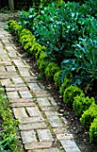 BRICK PATH EDGED WITH CLIPPED BOX AND CABBAGES IN THE POTAGER AT BARNSLEY HOUSE  GLOUCESTERSHIRE