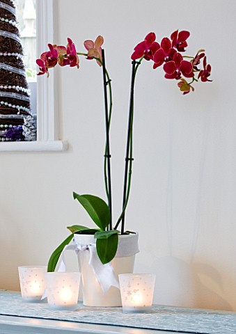 CLARE_MATTHEWS_CHRISTMAS_HOUSE_INTERIOR_KITCHEN_SIDEBOARD_WITH_CANDLES_AND_ORCHID_IN_WHITE_CONTAINER